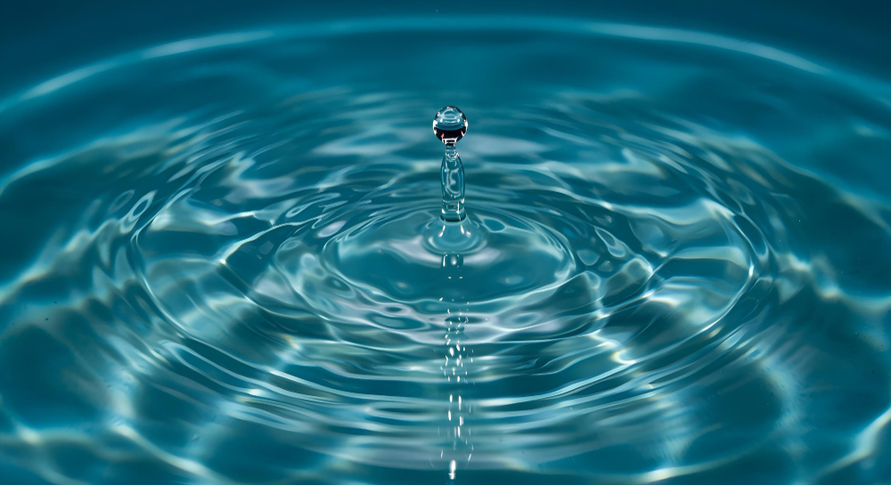 directiva del agua