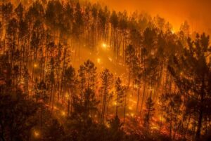 Los incendios están asolando España